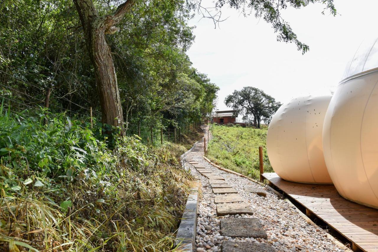 Bubble Pingo Do Mula Serra Da Canastra São Roque de Minas المظهر الخارجي الصورة